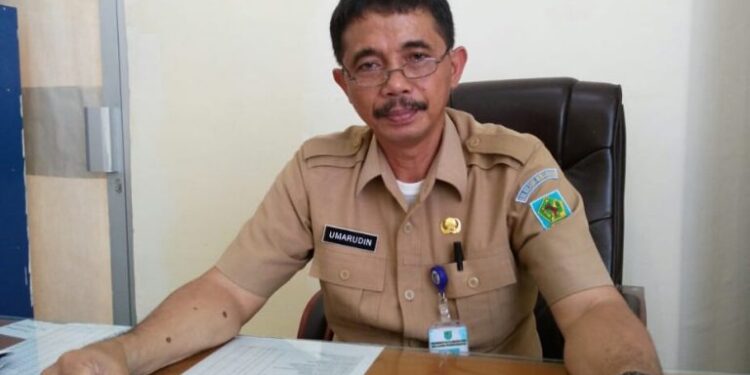 Tidak Lulus CPNS Bolmong? Ini Kesempatanmu Ajukan Sanggahan, Cek Jadwal dan Caranya