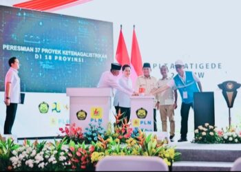 Daftar lengkap 37 proyek strategis ketenagalistrikan, Diresmikan Presiden Prabowo Subianto