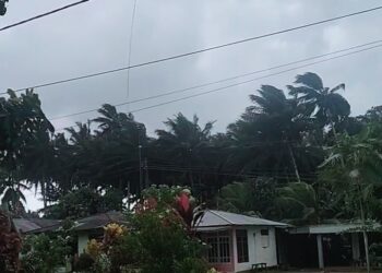 BMKG Ingatkan Hujan Lebat dan Angin Kencang, Ini Daftar Daerah di Sulut yang Potensi Dihantam Cuaca Ekstrem 12-16 Februari