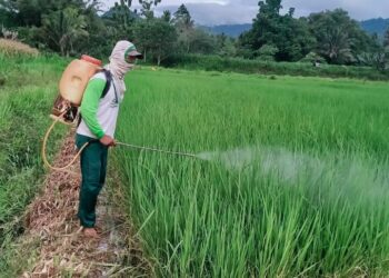 Petani Bolmong Titip Harapan ke Yusra-Dony, Wayan: Bantu Kami Jadi ‘Juara’