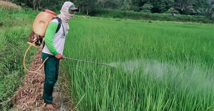 Petani Bolmong Titip Harapan ke Yusra-Dony, Wayan: Bantu Kami Jadi ‘Juara’