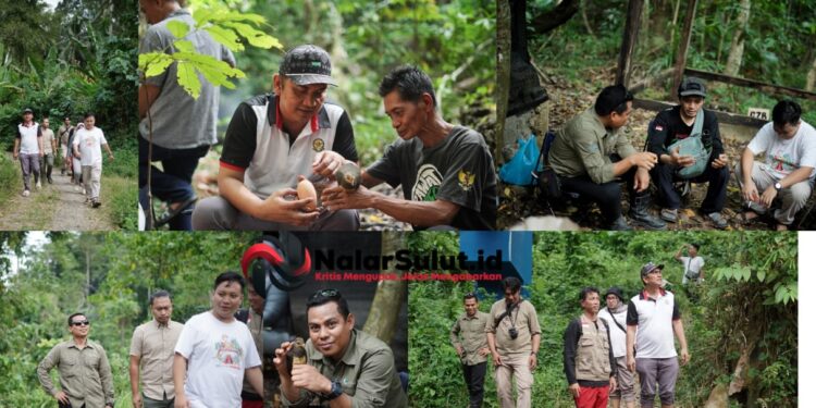 Dari Tambang ke Benteng Konservasi: PT JRBM–PEREDAM Bergerak Selamatkan Burung Maleo