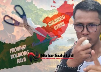 P-BMR dalam Bayang-bayang Ambisi dan Kejernihan Visi