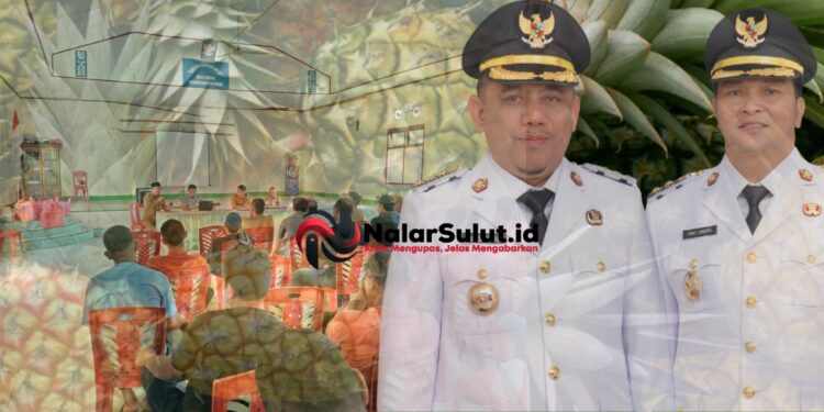 Petani Apresiasi Yusra-Dony, Nanas Lobong ‘Dibentengi’ Hukum, Produk Lokal Siap Naik Kelas