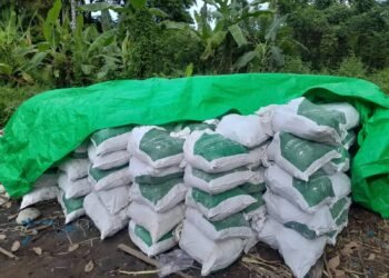Batu Hitam Tolutu Kembali Beredar, Nama Dayat dan Dugaan Bekingan Oknum Polisi Mencuat